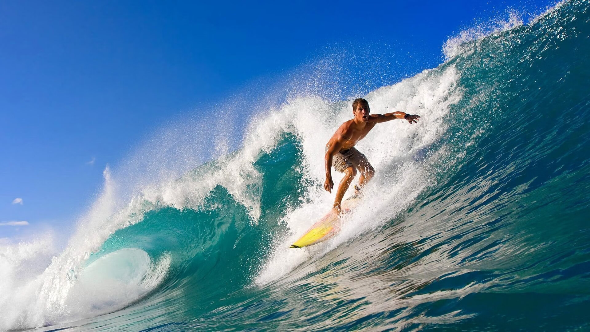 传统舞狮竞技赛，舞动青春的民族精粹